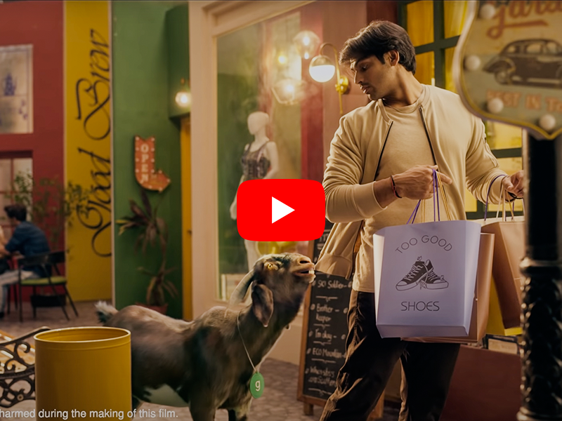 Meraki Sport and Entertainment